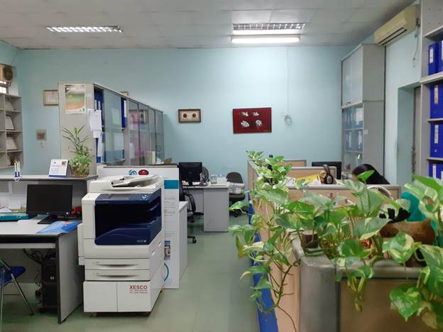 “Văn phòng xanh” chào mừng kỷ niệm 37 năm ngày nhà giáo Việt Nam